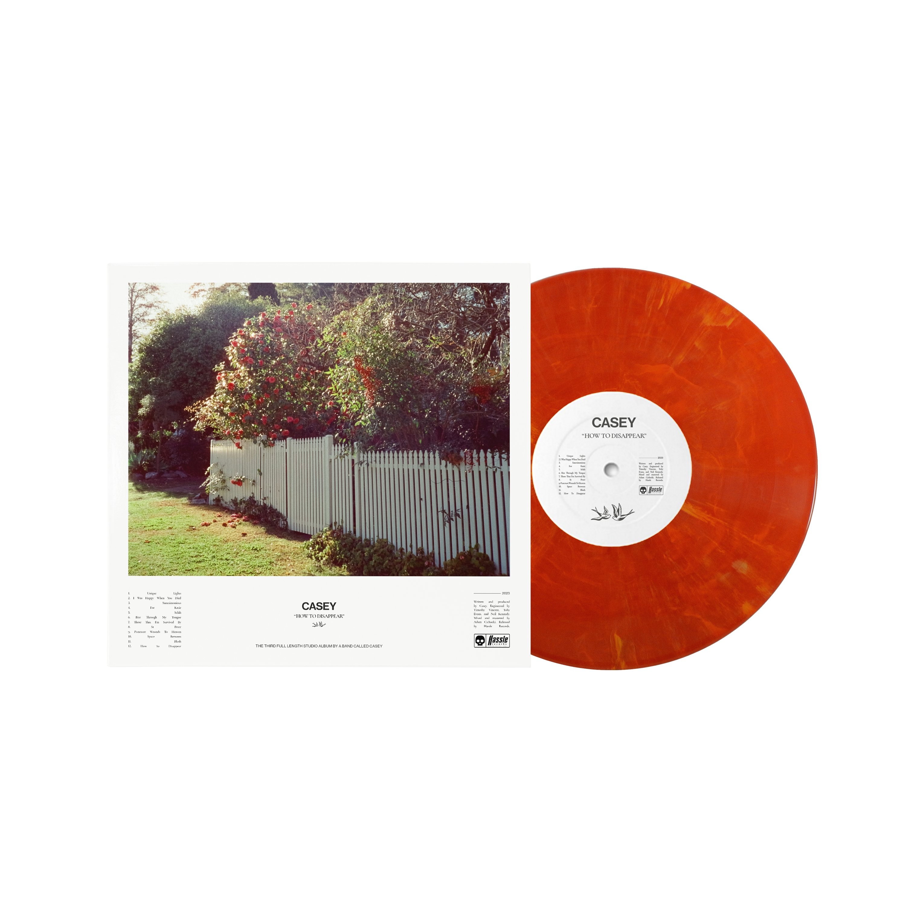 How To Disappear - Eruption Marble Vinyl LP